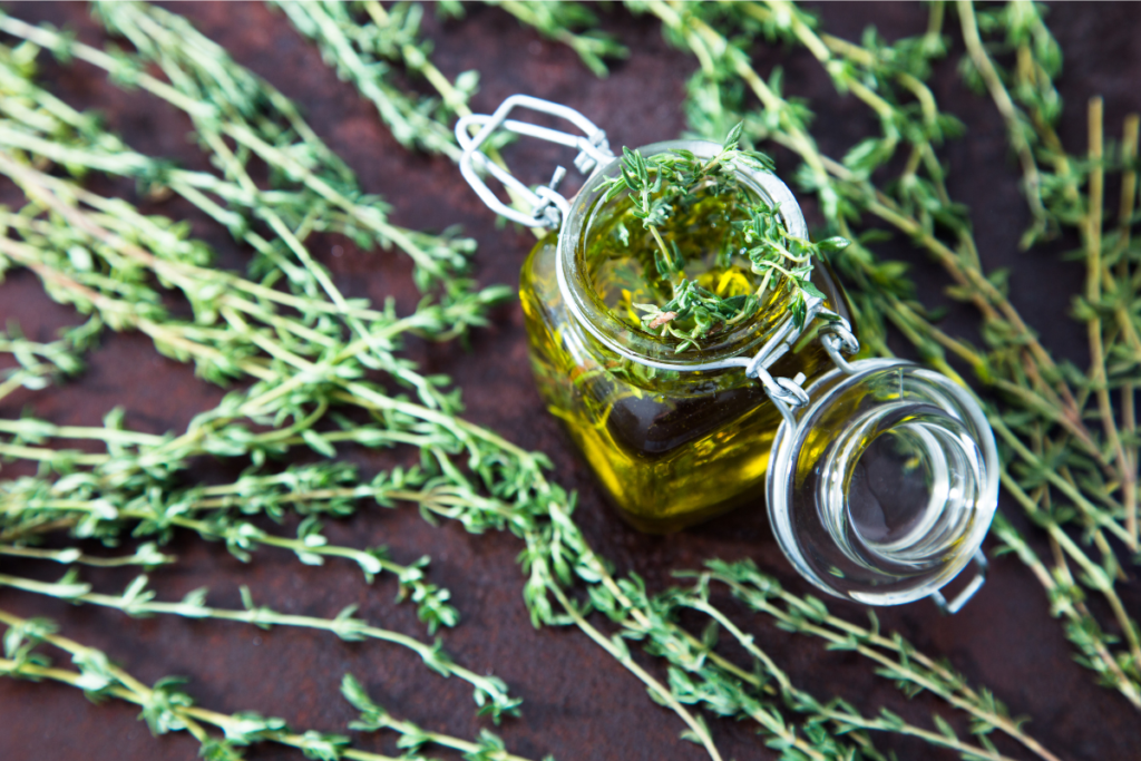 Thyme oil is high in the phenols carvacrol and thymol.