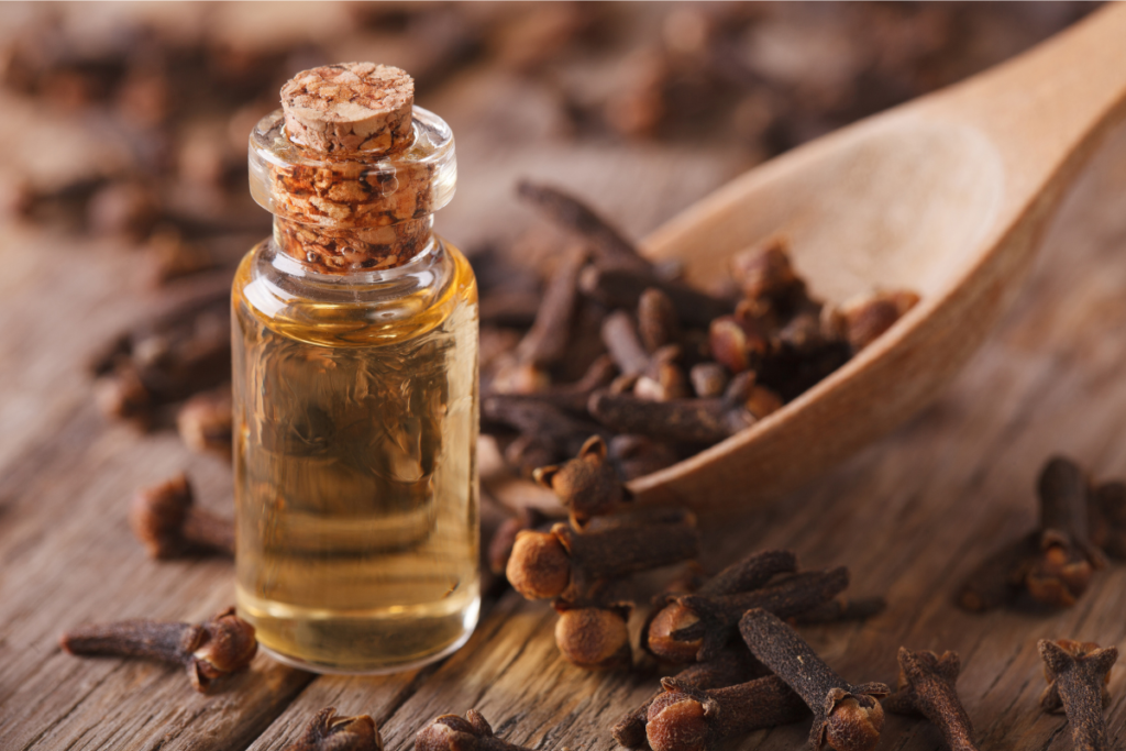 Clove oil is high in the phenol eugenol.