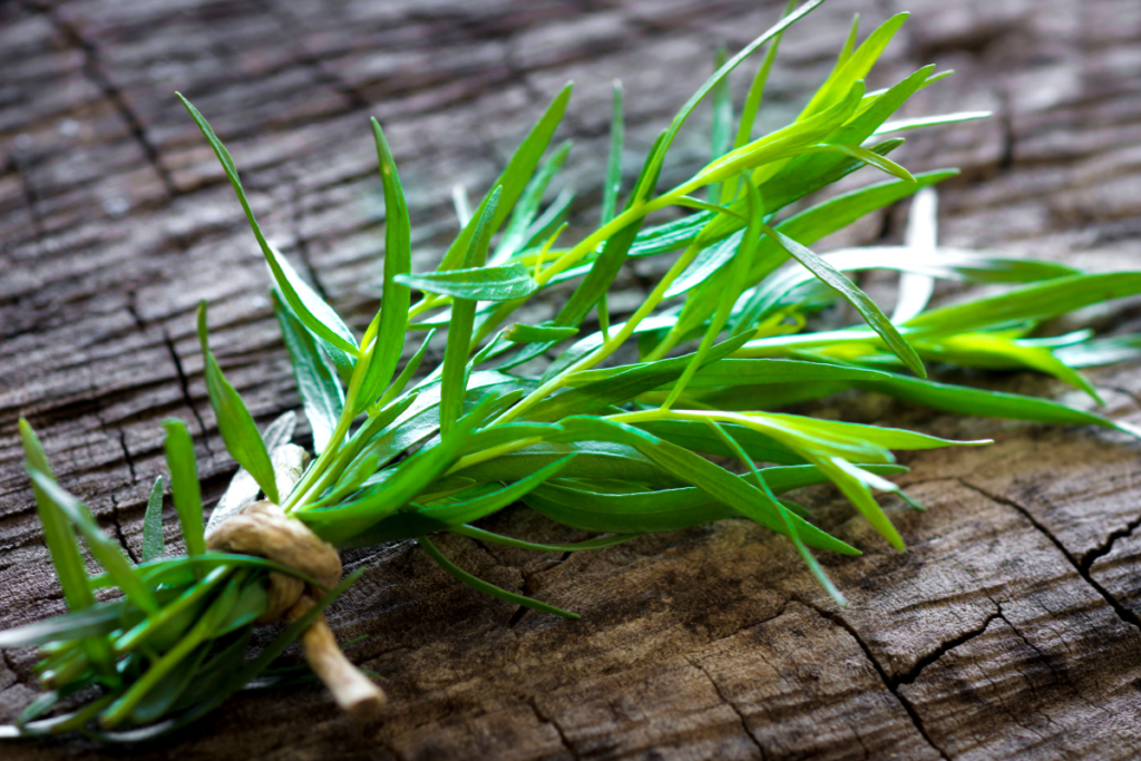 Tarragon oil is high in the phenol estragole.