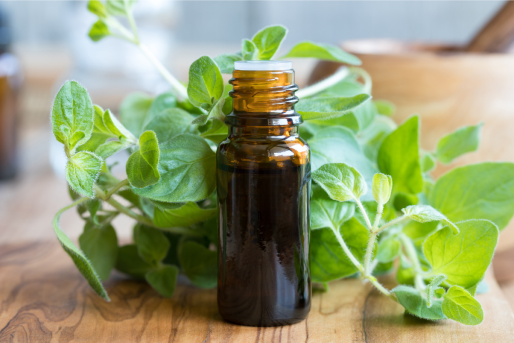 Oregano oil is high in phenols thymol, rosmarinic acid.