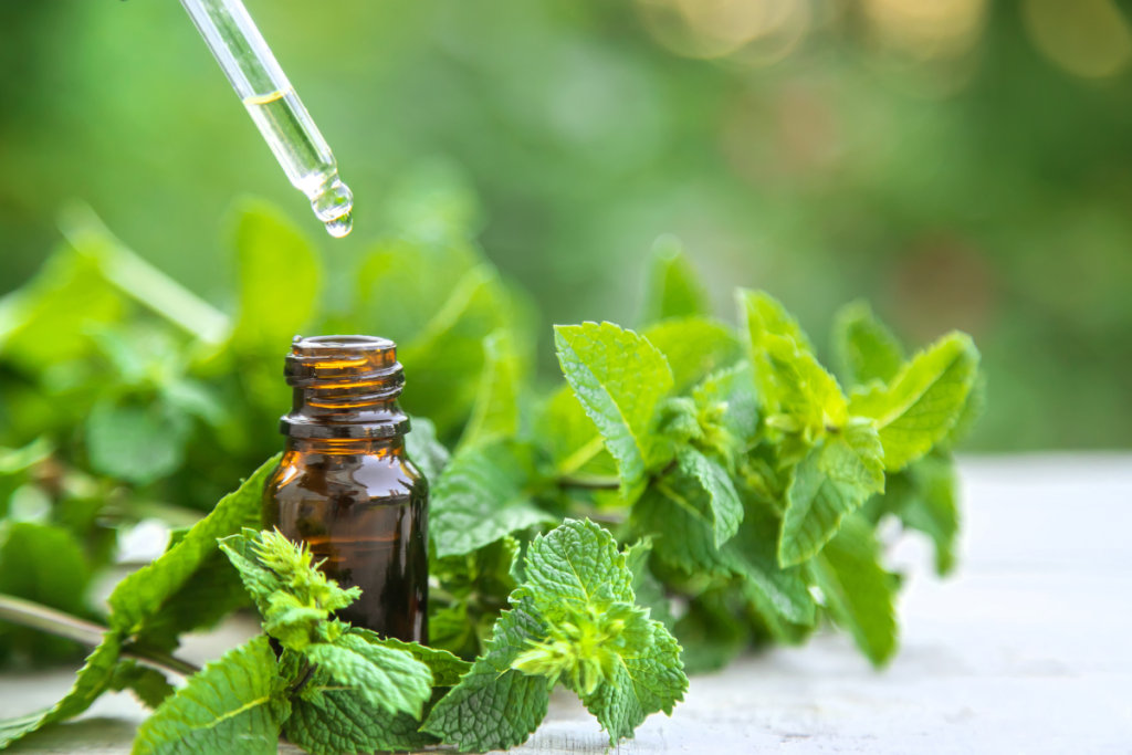 Peppermint essential oil.