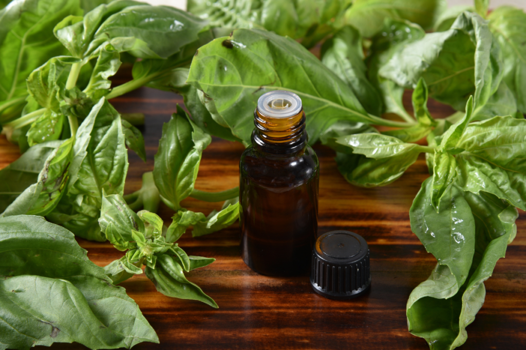 Basil essential oil.