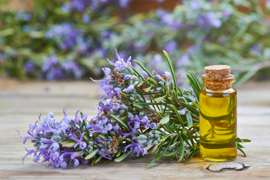 Rosemary oil.